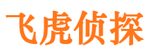 阳新侦探公司